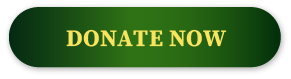Register button