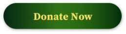 Donate now