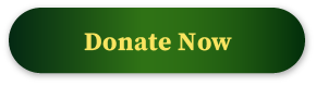 Donate now