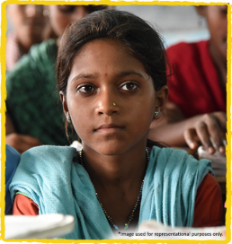 story pic-project Narmada