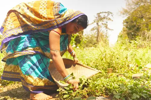 Teaching kitchen gardening practices