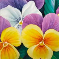 The Joy of Spring by Murali Nagapuzha