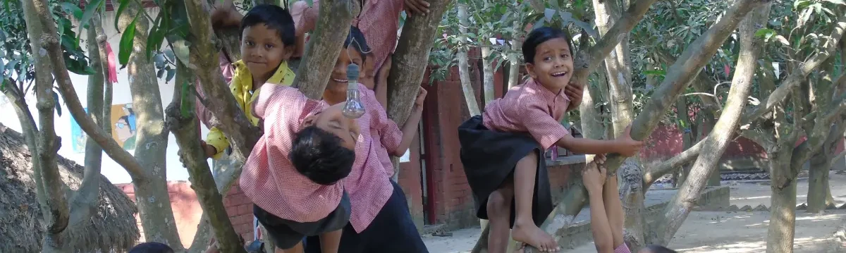 Children playing and climbing on trees outdoors in a school or community setting.