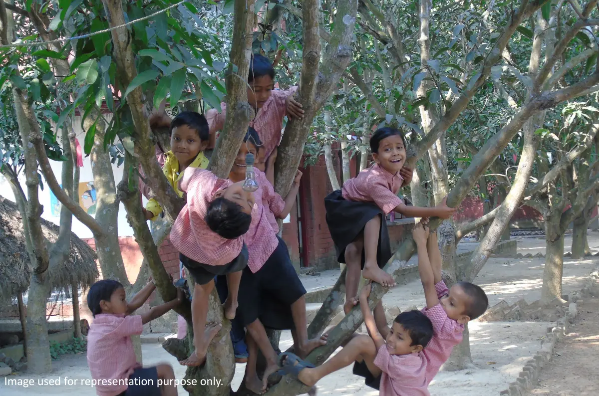 Children playing and climbing on trees outdoors in a school or community setting.