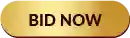 Donate Now For Children