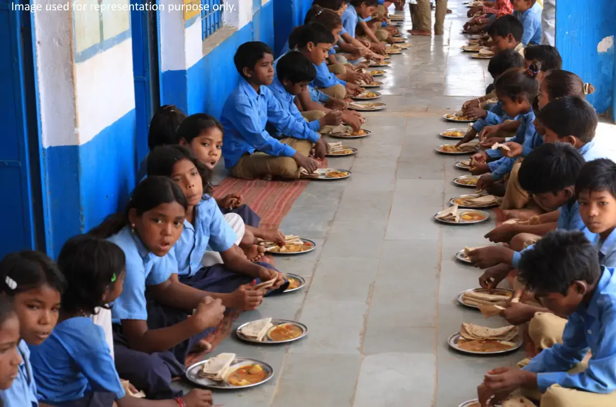 cognitive development in early childhood